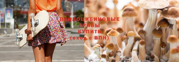 spice Алексин