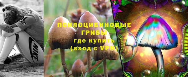 а пвп мука Алзамай