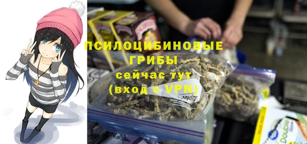 а пвп мука Алзамай